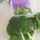 Now we are ready to cook these vegetables!