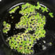 Using the same pan, add in the butter, garlic, and jalapeño, and saute for about 1 minute.