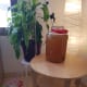 Rack mead by using the siphon, making sure to leave any yeast sediment behind.