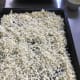 Spread grated cauliflower on baking sheet