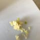 Add a little freshly minced garlic to round out the flavor profile of the dressing. It's fabulous with fresh vegetables or leafy greens, and gorgeous against the rich olive oil.