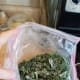 Finally, add your kale and stir in.