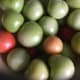 Mainly, I used green tomatoes, but I used a few red ones, as well.