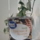 best-chicken-soup-in-a-can