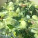 Bring to a boil and reduce to medium heat to simmer for 5 minutes.