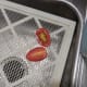 Place on dehydrator sheet.