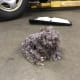 Mouse nest that was pulled out of a HVAC fan motor inside the dash, the smell was wonderful!