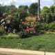 The Rose Innovations, William Radler Rosarium in Greenfield, WI. This is the residence of William Radler, Creator of Knock Out Roses.