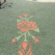 growing-and-caring-for-knock-out-roses