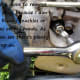Removing the Spark Plug