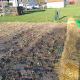 starting-a-straw-bale-garden