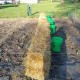 starting-a-straw-bale-garden