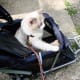 Time for a walk