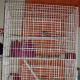 Wire hamster cage.