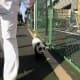 Columbo going for a walk through Tokyo.