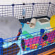 Hoggle's Cube & Coroplast Cage by madflowr