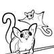 Two sugar gliders.