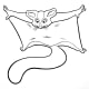 Sugar glider coloring page. Print out for your child.