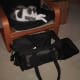 airline-approved-cat-carrier