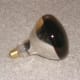 250 watt red bulb.