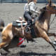 barrel racing