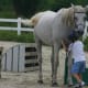 Kids and horses - a great combination!