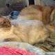Bennie and Ryan