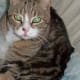 Tigger: "Did you want me for something?"