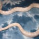 Adult snow corn snake. I own this snake.
