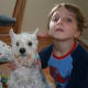 five-best-small-white-dog-breeds