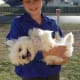 Maltese are not the best dog breed for kids..they are just the best!