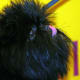 The Affenpinscher, a skilled ratter and all-around farm dog, is beyond adorable.