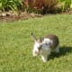 Supervised outdoor playtime is the best entertainment ever!