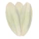 Cuttlefish bones can be purchased in pet stores or can sometimes be found washed up on shores, although the latter needs to be prepared before being served to a bird