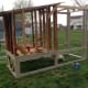 To save time, I started priming and painting the frame of the coop while my husband and father constructed the actual hen house.