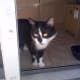 Cleo gives the outdoors a look