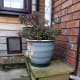 Multipurpose cat step and plant potter platform concealing drain and pipes.