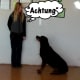 "Achtung" means "watch."