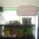 Empty hatchling crested gecko tub, extra incubator, slate tiles, 2 digitial scales, and photography backgrounds.