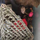 I have different layers of decorations, this gives the hermits places to hide, climb, and explore. I hadn't been expecting the hammock to be as large as it was, but the crabs love it!