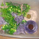 Gargoyle Gecko Tub (Similar to my crested gecko enclosure with torn egg cartons placed randomly)