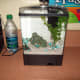 One and a half gallon set up in a classroom