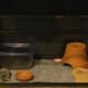 how-to-set-up-a-leopard-gecko-tank