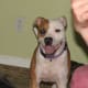 Sadie Mae - After