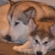 Gabby gets to be a mom at last!