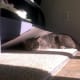 There are many uses for cardboard boxes.