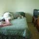 More sleeping. CIA likes the bed in front of the window where the sun pours in