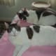 Brother and sister sleeping with a lot of sunlight