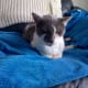 Cia slept almost all the time towards the end of his long 21 year journey