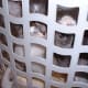 the-odd-creatures-we-call-cats
